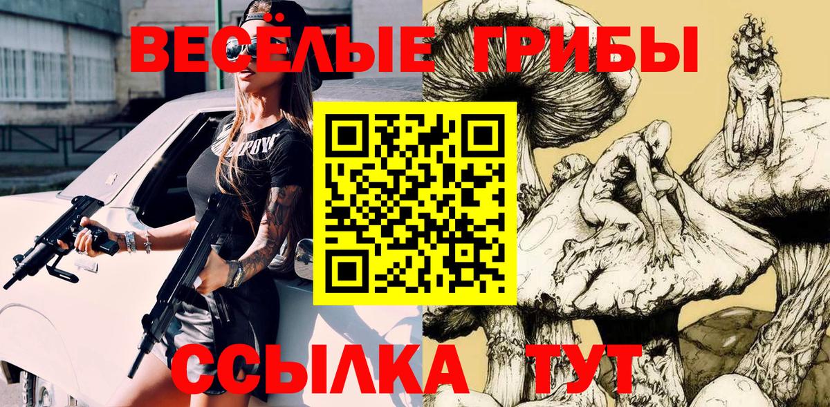 Галлюциногенные грибы прущие грибы Будённовск