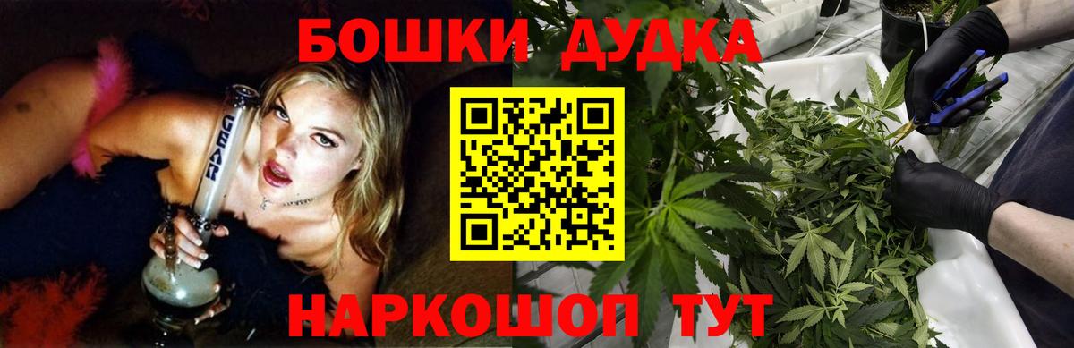 Канабис план  Канабис гибрид  Будённовск  Вход с VPN  Каннабис семена 